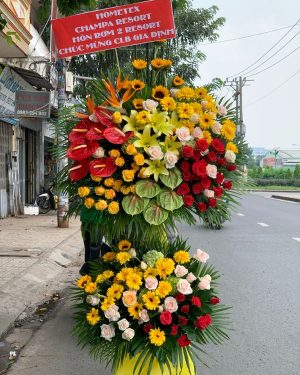 hoa khai trương