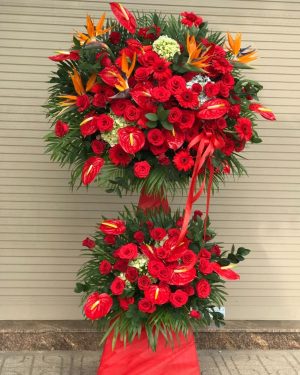 Đặt Hoa Chúc Mừng Tp.thuận an