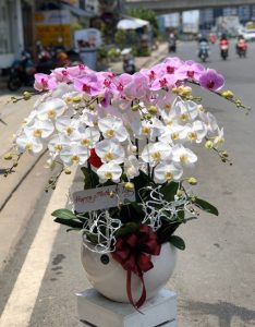 cửa Hoa chúc mừng khai trương Quận 4.
