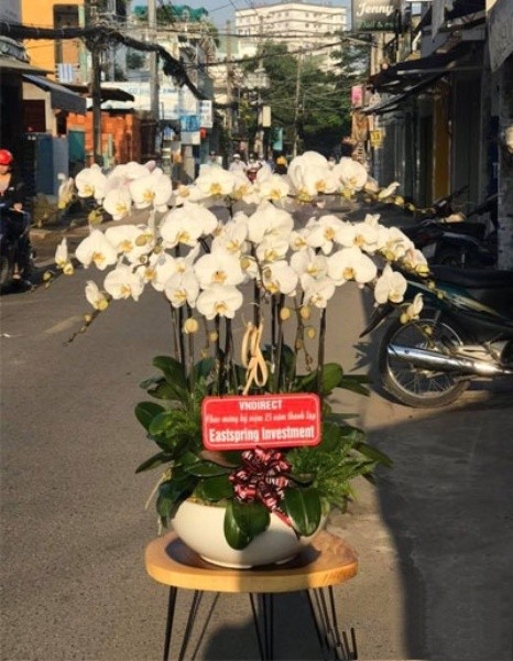 Dịch Vụ Đặt Hoa Lan Hồ Điệp Phường Xuân Hòa Uy Tín Giao Nhanh - Sự Lựa Chọn Cho Mọi Dịp