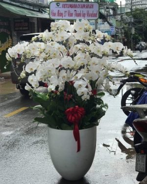 shop hoa khai trương Củ Chi-Đặt Hoa Chúc Mừng Củ Chi