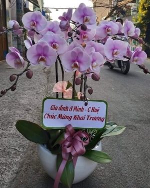 shop hoa khai trương Củ Chi-Đặt Hoa Chúc Mừng Củ Chi