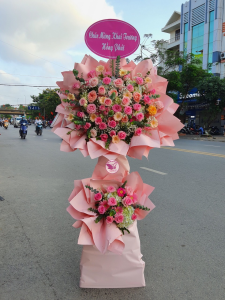 Shop Hoa Khai Trương Tây Ninh
