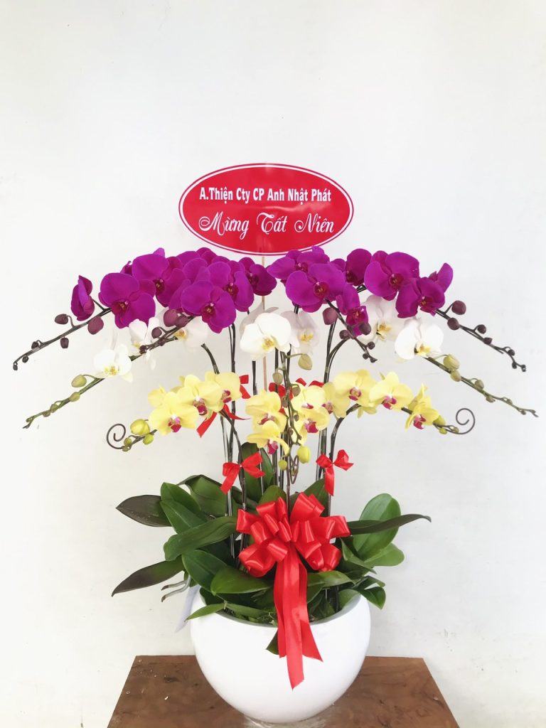 Điện Hoa Chúc Mừng Khai Trương Xã An Ninh Uy Tín
