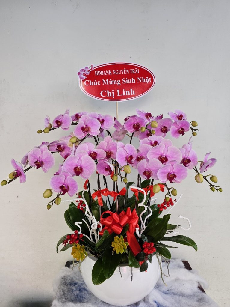 ĐẶT HOA LAN HỒ ĐIỆP CHO SỰ KIỆN - Tạo Nên Không Gian Tươi Mát và Sang Trọng